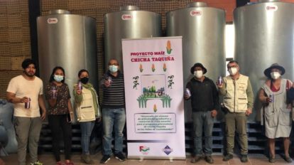 Chicha Taquiña dinamiza la producción tradicional de maíz en Cochabamba