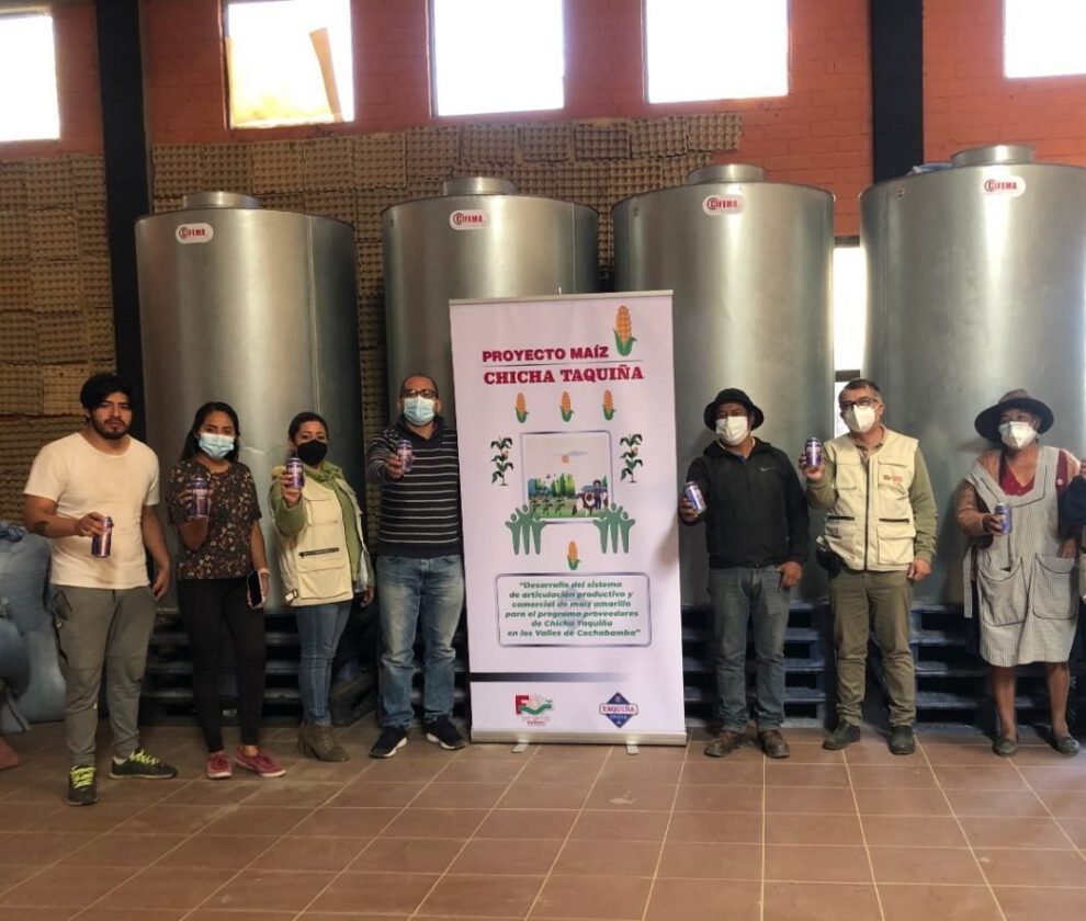 Chicha Taquiña dinamiza la producción tradicional de maíz en Cochabamba