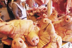 Producción de carne porcina en Santa Cruz