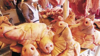Producción de carne porcina en Santa Cruz
