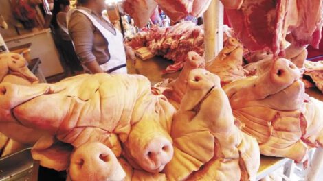 Producción de carne porcina en Santa Cruz
