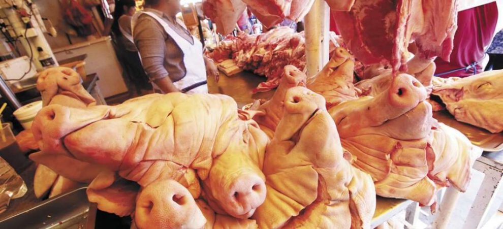 Producción de carne porcina en Santa Cruz