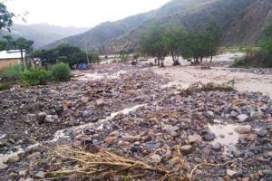 Pérdidas agrícolas en Arque por riada