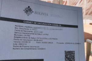 Control de carnets de vacunación para evitar falsificaciones
