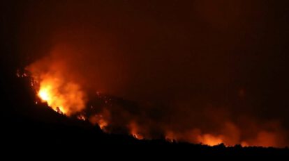 Incendios en Argentina arrasan bosques nativos