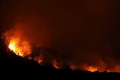 Incendios en Argentina arrasan bosques nativos