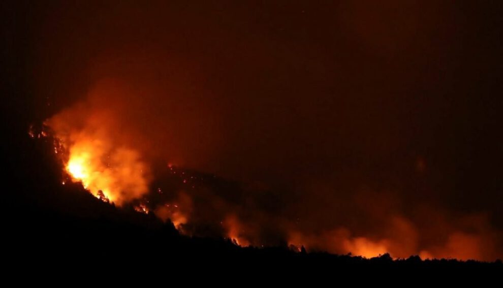 Incendios en Argentina arrasan bosques nativos