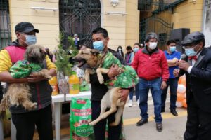 Desfile de disfraces de mascotas en Oruro