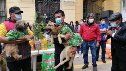 Desfile de disfraces de mascotas en Oruro