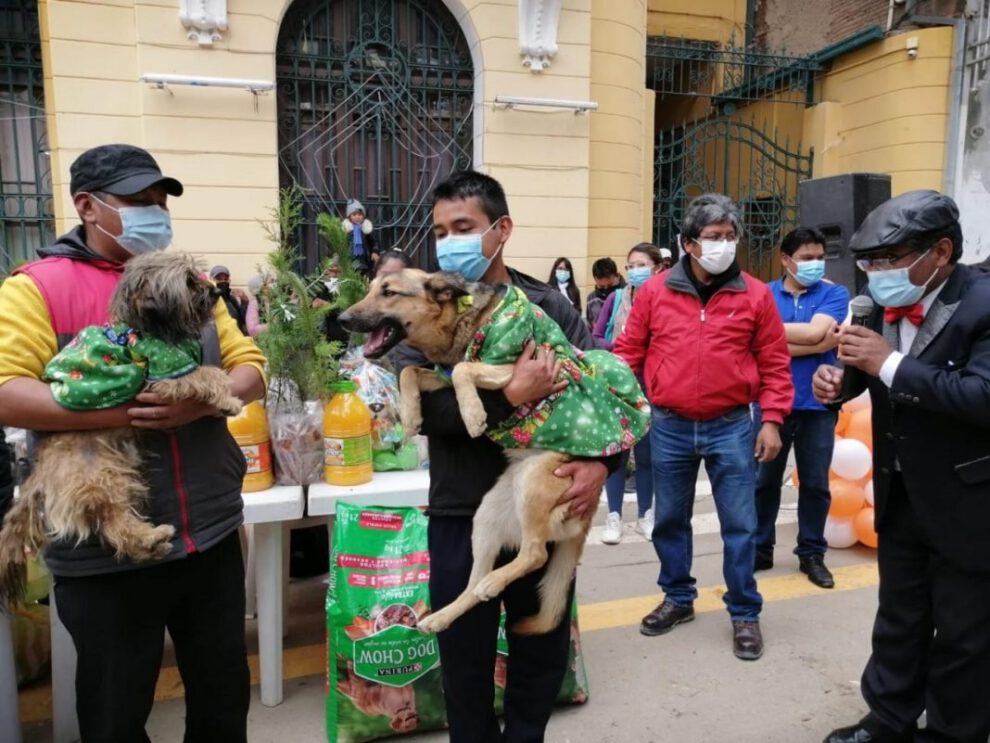 Desfile de disfraces de mascotas en Oruro