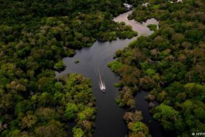 Brasil suspende permisos para explorar oro en áreas preservadas de Amazonía