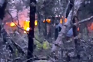 Avasallamiento armado en comunidad ayorea