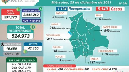 Datos de casos de Covid-19 en Bolivia