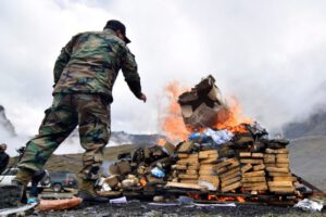Destrucción de droga en Bolivia