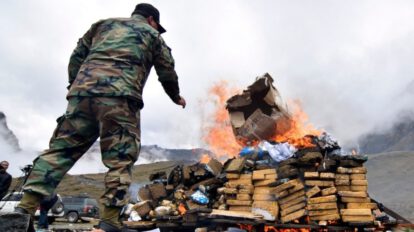 Destrucción de droga en Bolivia