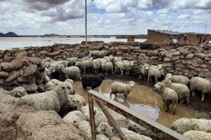 Lluvias de diciembre superan el registro de años pasados