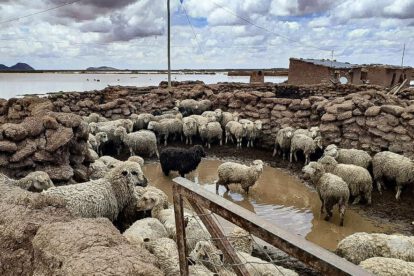 Lluvias de diciembre superan el registro de años pasados