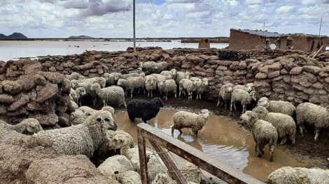 Lluvias de diciembre superan el registro de años pasados