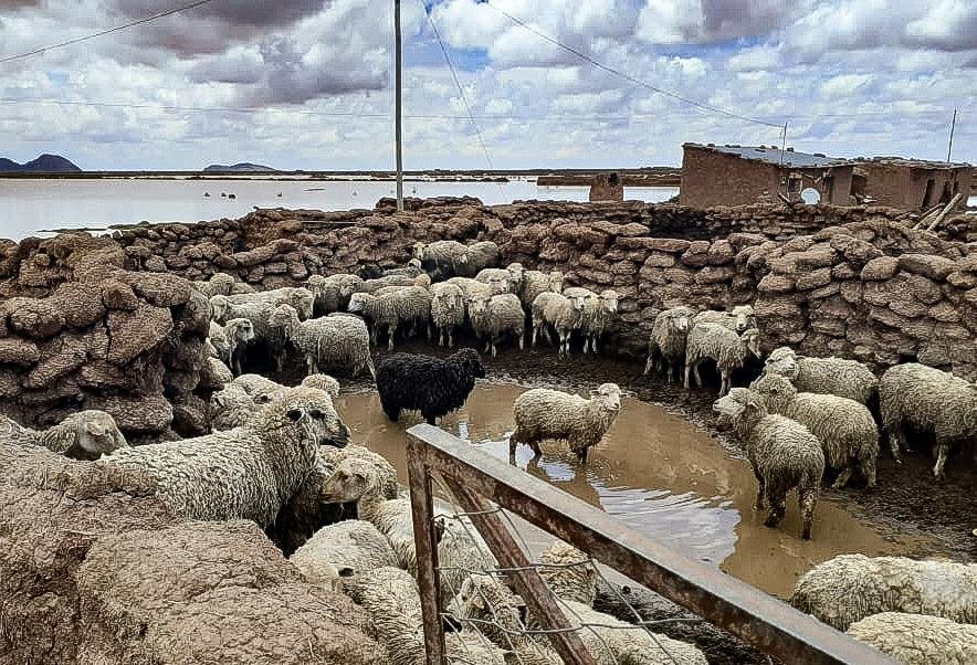Lluvias de diciembre superan el registro de años pasados