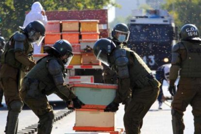Protesta de apicultores en Chile con abejas