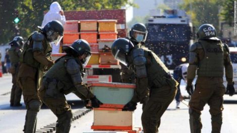 Protesta de apicultores en Chile con abejas