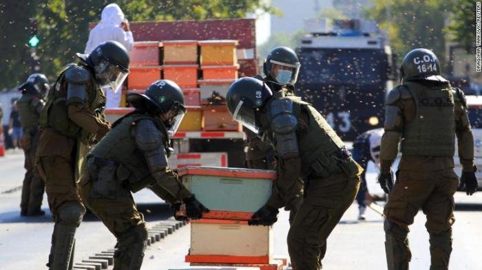 Protesta de apicultores en Chile con abejas