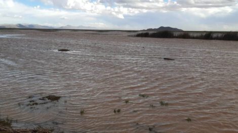 Comportamiento climático en municipios rurales de Oruro