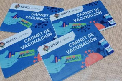 Carnet de vacunación Covid-19 postergado hasta el 26 de enero