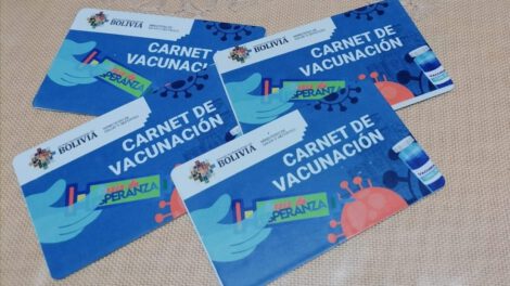 Carnet de vacunación Covid-19 postergado hasta el 26 de enero