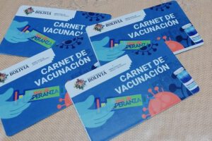 Carnet de vacuna anticovid como política de Estado