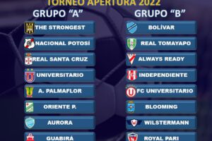 Así quedaron conformadas las series para el torneo Apertura de la División Profesional