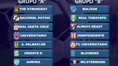 Así quedaron conformadas las series para el torneo Apertura de la División Profesional