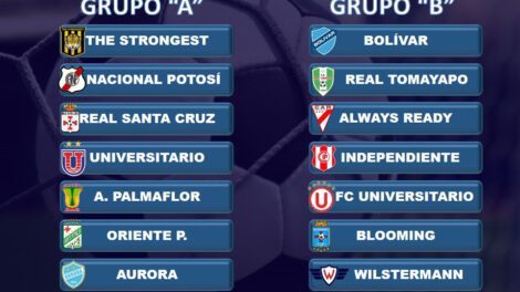 Así quedaron conformadas las series para el torneo Apertura de la División Profesional
