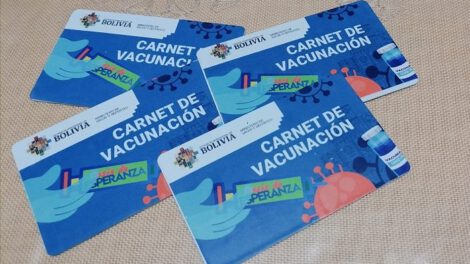Gobierno analizará flexibilización a la exigencia de carnet de inmunización
