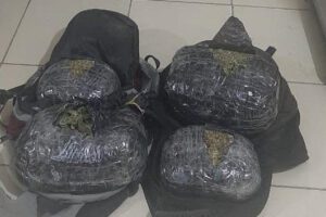Tráfico de sustancias controladas en la terminal Hernando Siles