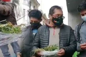 Plataformas 21F llevan pasto a Choquehuanca para su recuperación de Covid-19