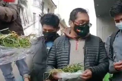Plataformas 21F llevan pasto a Choquehuanca para su recuperación de Covid-19