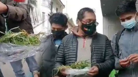 Plataformas 21F llevan pasto a Choquehuanca para su recuperación de Covid-19