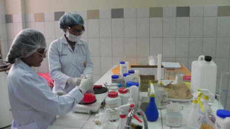 Remedios naturales contra el Covid-19 producidos por la UMSS