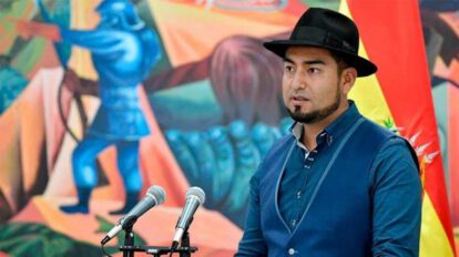 Renuncia del viceministro Bobaryn en el contexto de la pugna en el MAS