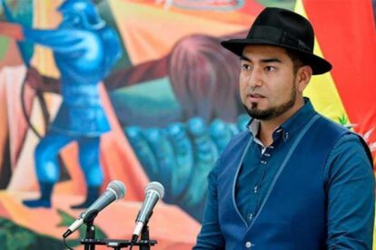 Renuncia del viceministro Bobaryn en el contexto de la pugna en el MAS