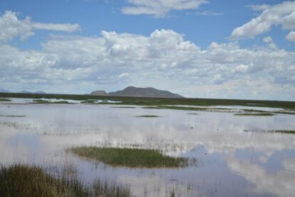 Lago Uru-Uru y su espejo de agua en Oruro