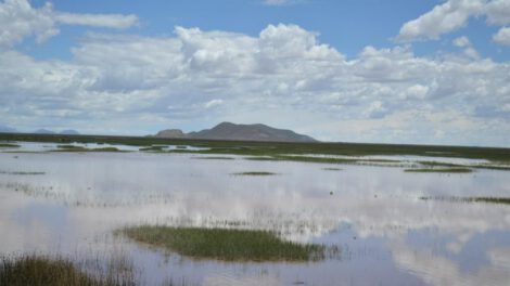 Lago Uru-Uru y su espejo de agua en Oruro