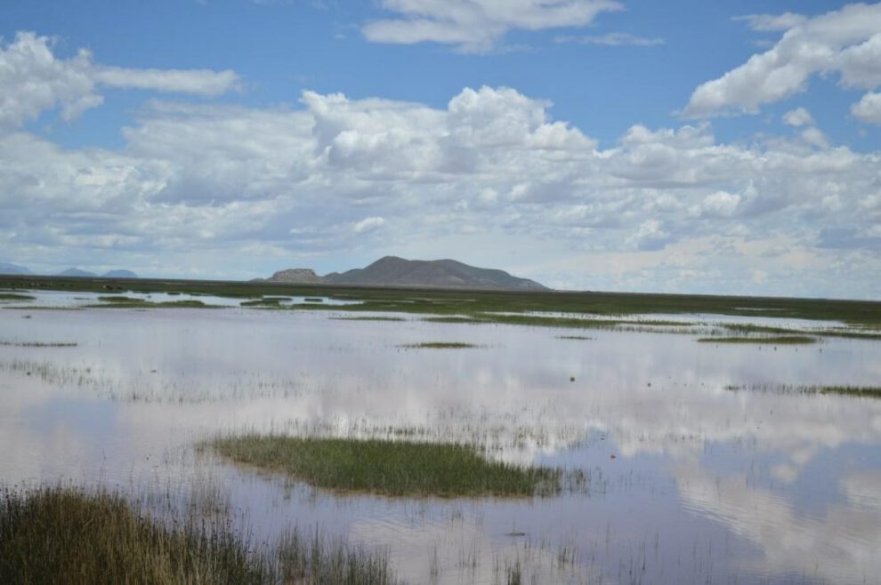 Lago Uru-Uru y su espejo de agua en Oruro