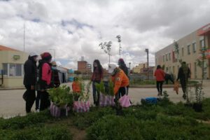 Plantan árboles frutales en las jardineras del Bloque Oruro-Corea