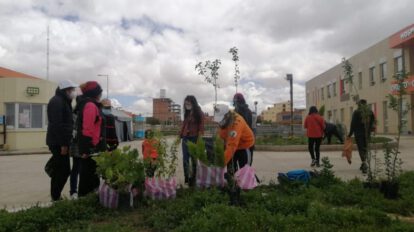 Plantan árboles frutales en las jardineras del Bloque Oruro-Corea