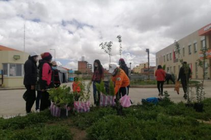 Plantan árboles frutales en las jardineras del Bloque Oruro-Corea