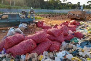 Hortalizas comisadas en Pando por Senasag y la Policía