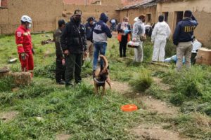 Alcaldesa de El Alto denuncia trabas de la Fiscalía en el caso del psicópata sexual