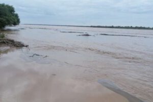 Crecida del río Pilcomayo afecta comunidades del Chaco tarijeño